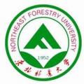 东北林业大学 东北林业大学成教logo