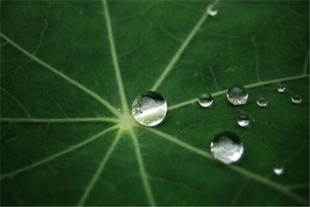 黑龙江自考经济学类专业的考生的就业方向有哪些?