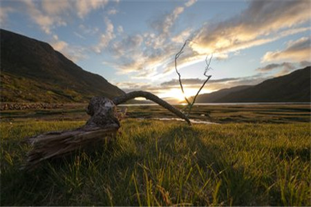 黑龙江自考本科如何进行毕业申请?