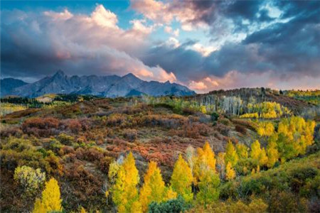 黑龙江自考本科生考研注意事项有哪些?