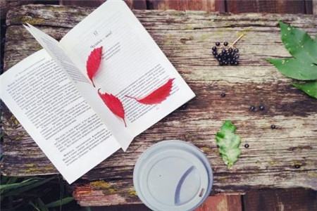 2020黑龙江自考报名到毕业全流程