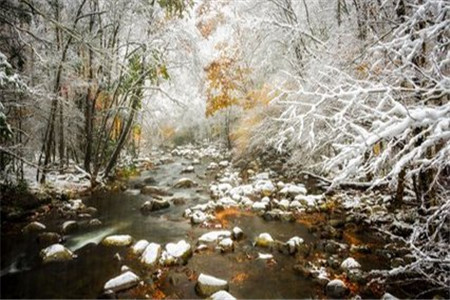 黑龙江自考大专好考吗？