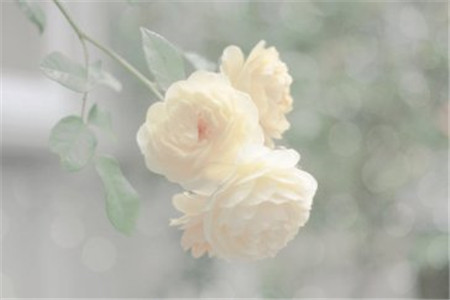 黑龙江自考大专文凭有用吗?