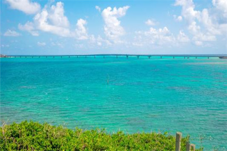 黑龙江自考成绩可以保留几年?