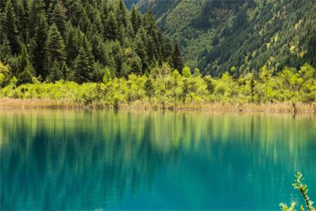 黑龙江自考行政管理专业好考吗?