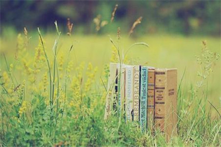 黑龙江自考本科和独立本科有什么区别?