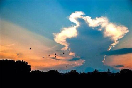 黑龙江自考本科学士学位有用吗?