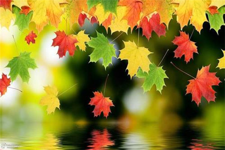 黑龙江自考本科找工作难吗?