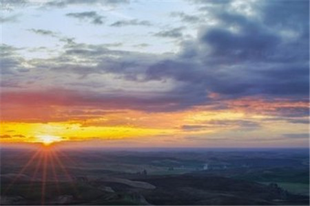 哪种成人学历的含金量最高？