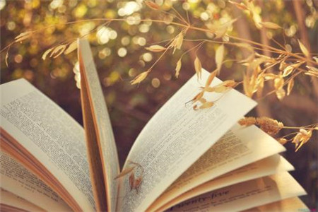 黑龙江成人学历的提升真的有必要吗?