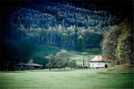 黑龙江成人自考考些什么？