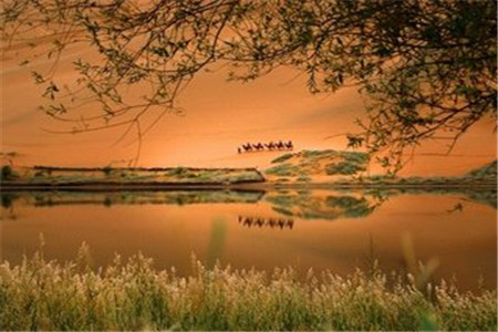 黑龙江自考最容易过的专业?