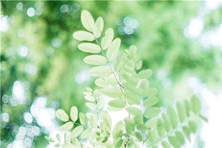 黑龙江自考生申请成绩复核需要注意哪些?