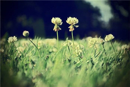 黑龙江自考答题注意事项