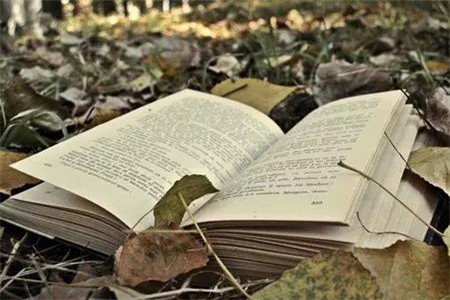 黑龙江自考实践课怎么考?